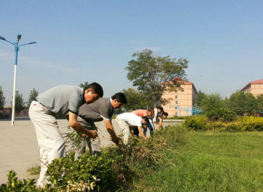 践行“弟子规”，美化校园环境