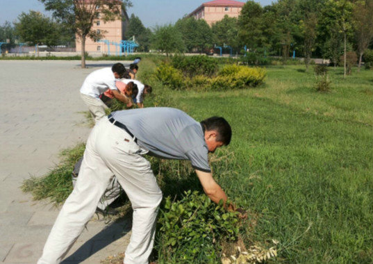 践行“弟子规”，美化校园环境