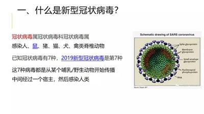 外国语学子，请收好这份新冠肺炎防疫指南！