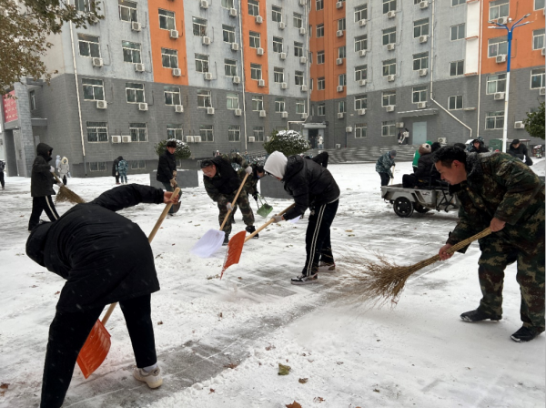 保定理工学院||管理学院||党员先锋在行动 清雪除冰传温情