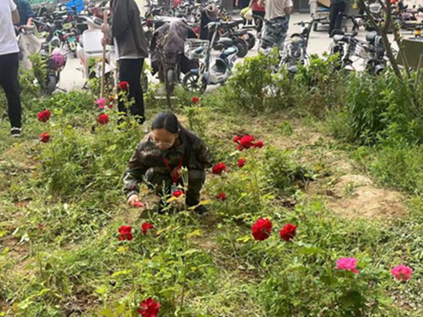 劳动教育|保定理工学院|管理学院|学习劳动精神·践行劳动育人-跟着节气学种植，分享劳动创造的美好乐趣