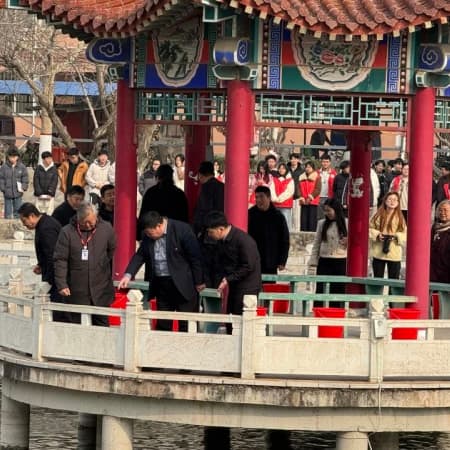 植此青绿，不负春光