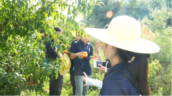 踏遍柳树沟沃土，探寻乡村振兴发展路——会计学院三下乡社会实践纪实(二)