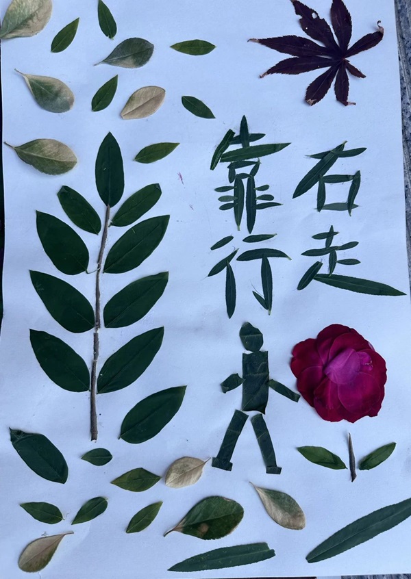 体验式教育|保定理工学院|管理学院|创意劳动课助力无烟校园与文明出行建设