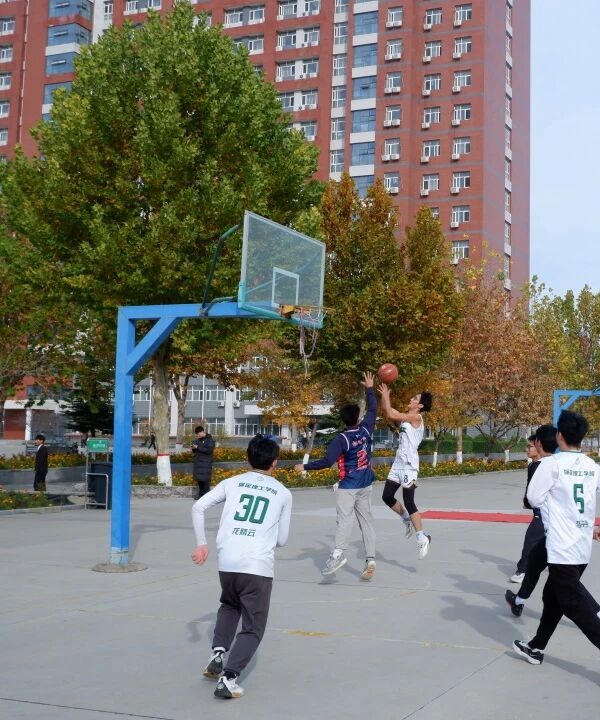 体育|保定理工学院|管理学院|青春无畏，逐梦篮筐
