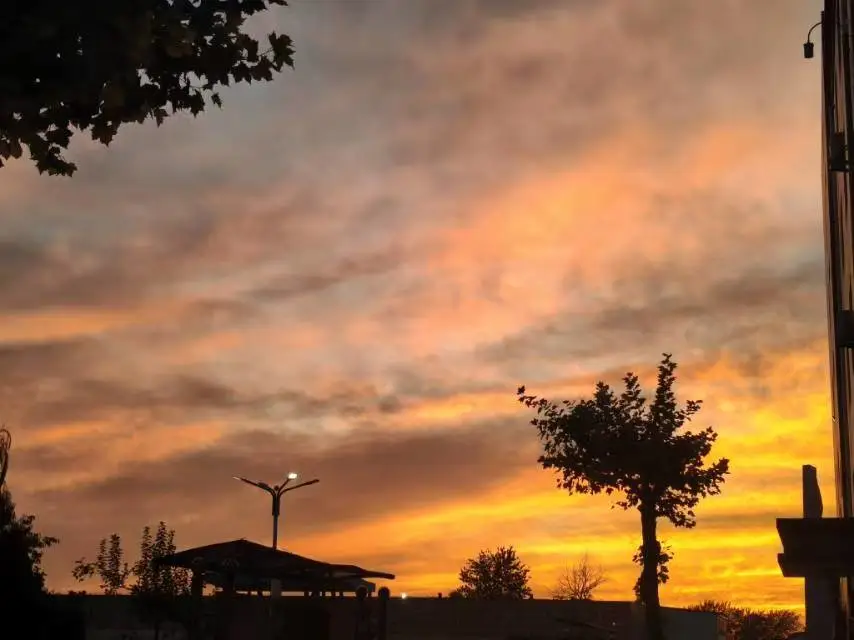 【教育学院·校园小记】秋日回顾：保理的秋与朝暮