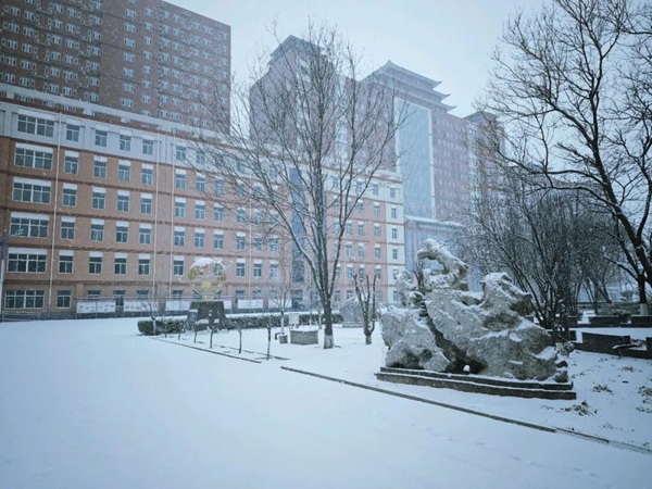 寒假限定！保理的初雪，把浪漫寄给返乡的你