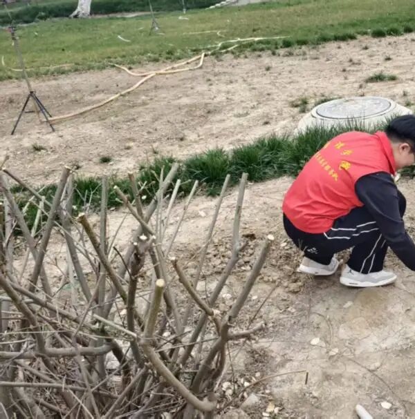 养成教育|保定理工学院管理学院学子以“弯腰行动”行动诠释文明素养