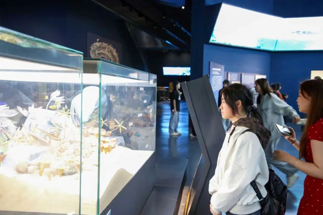 馆校研学同行 夯实地质本领｜保定理工学院师生走进中国古动物馆